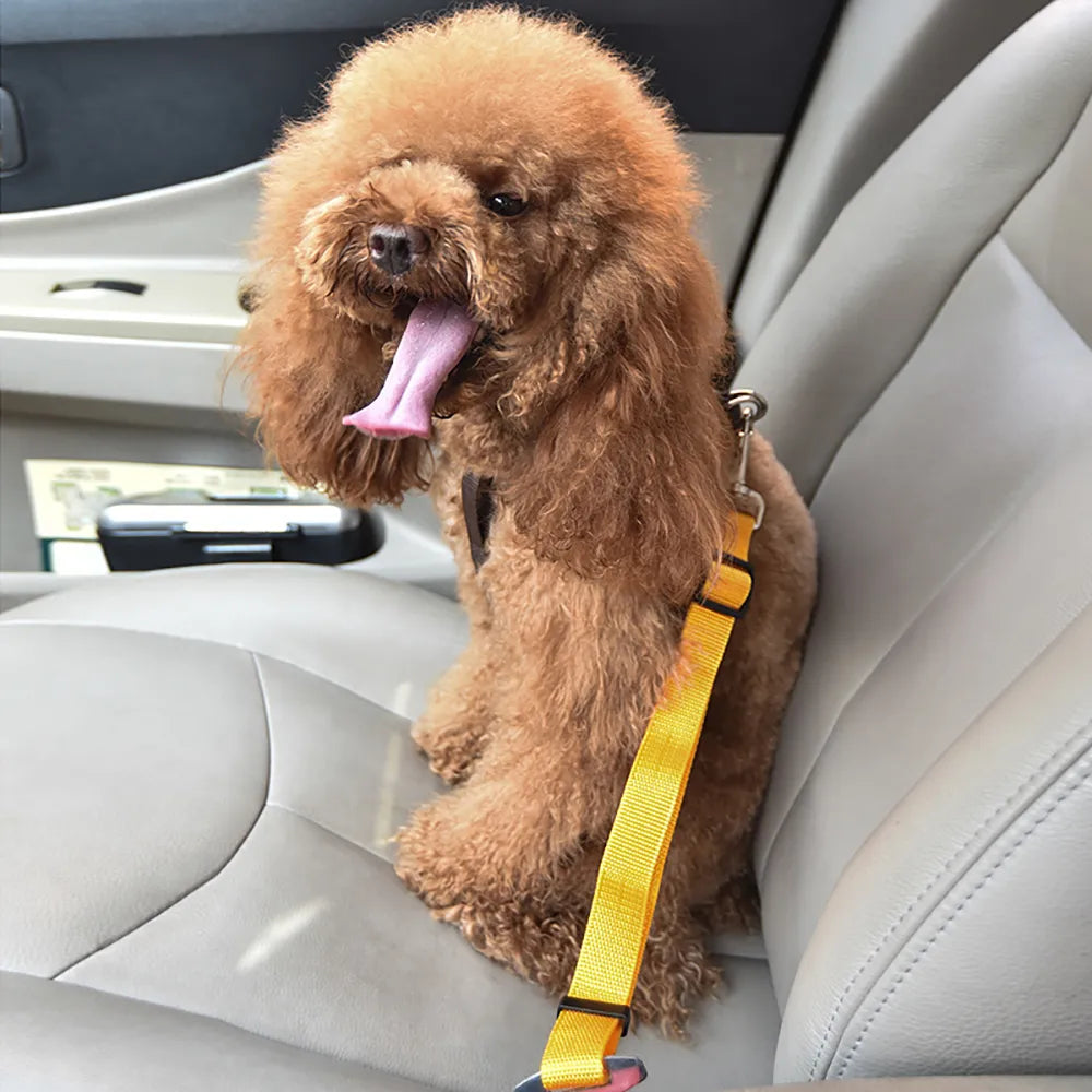 Adjustable Pet Car Safety Belt