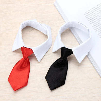 Pet Collar Necktie