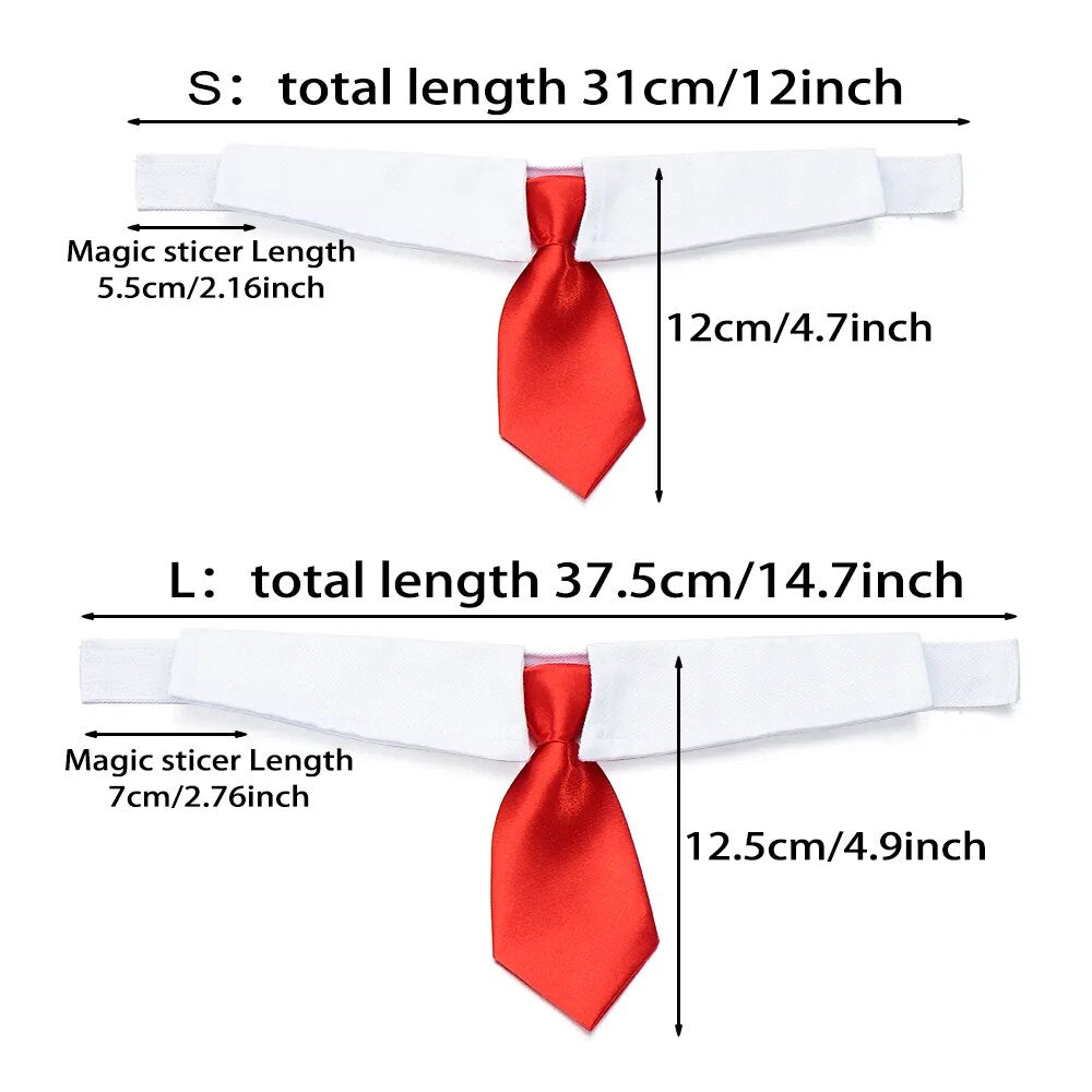 Pet Collar Necktie