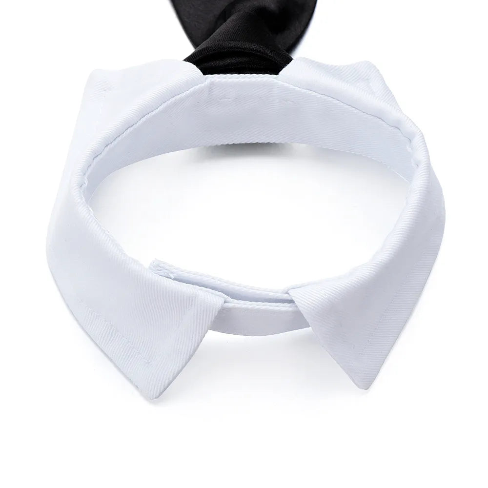 Pet Collar Necktie