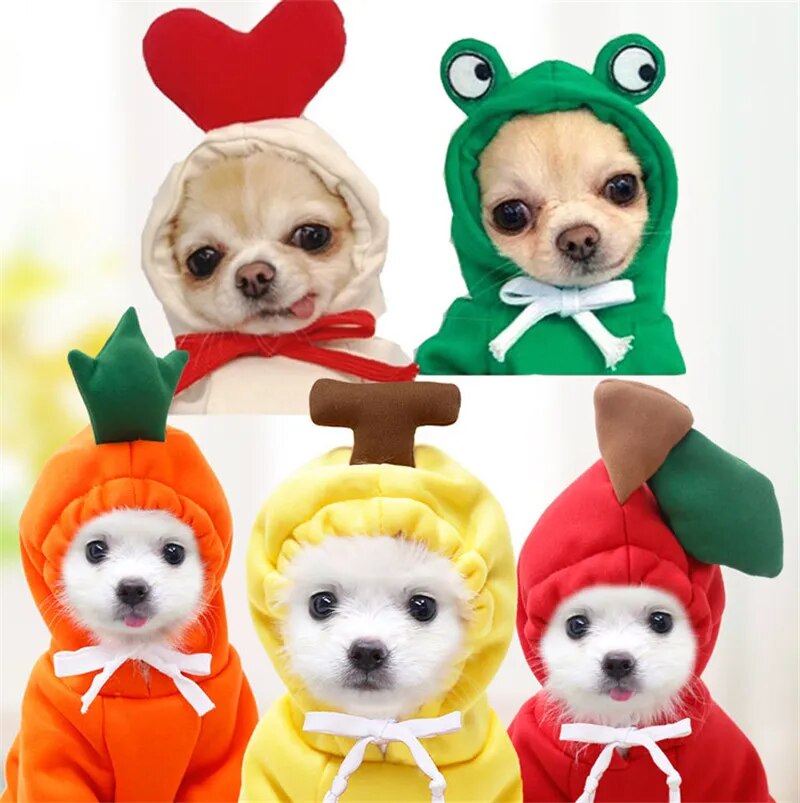 Cute Dog Hooded Clothes