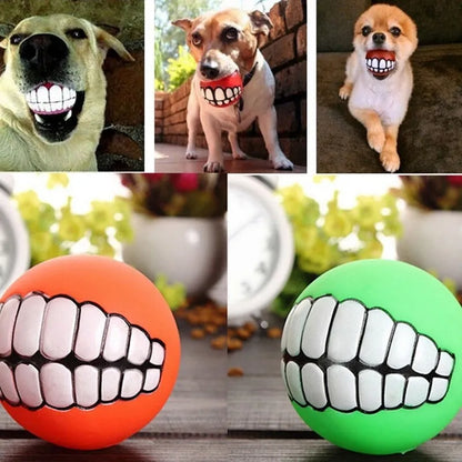 Pet Teeth Silicon Chew Toy