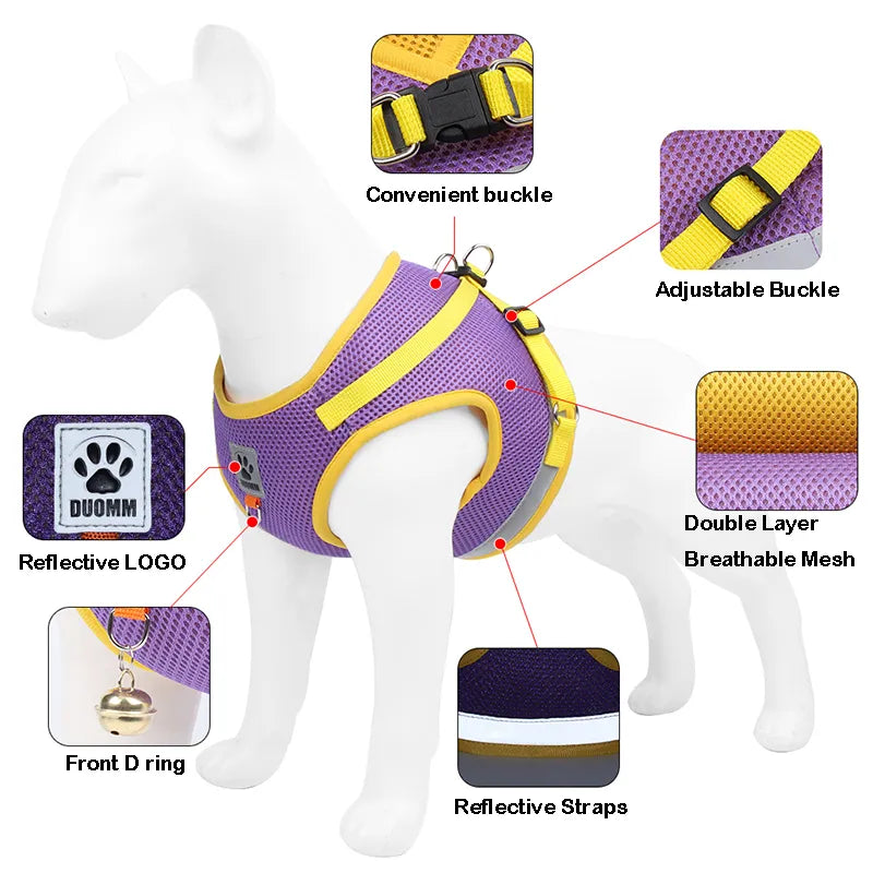 Reflective Dog Harness and Leash Set