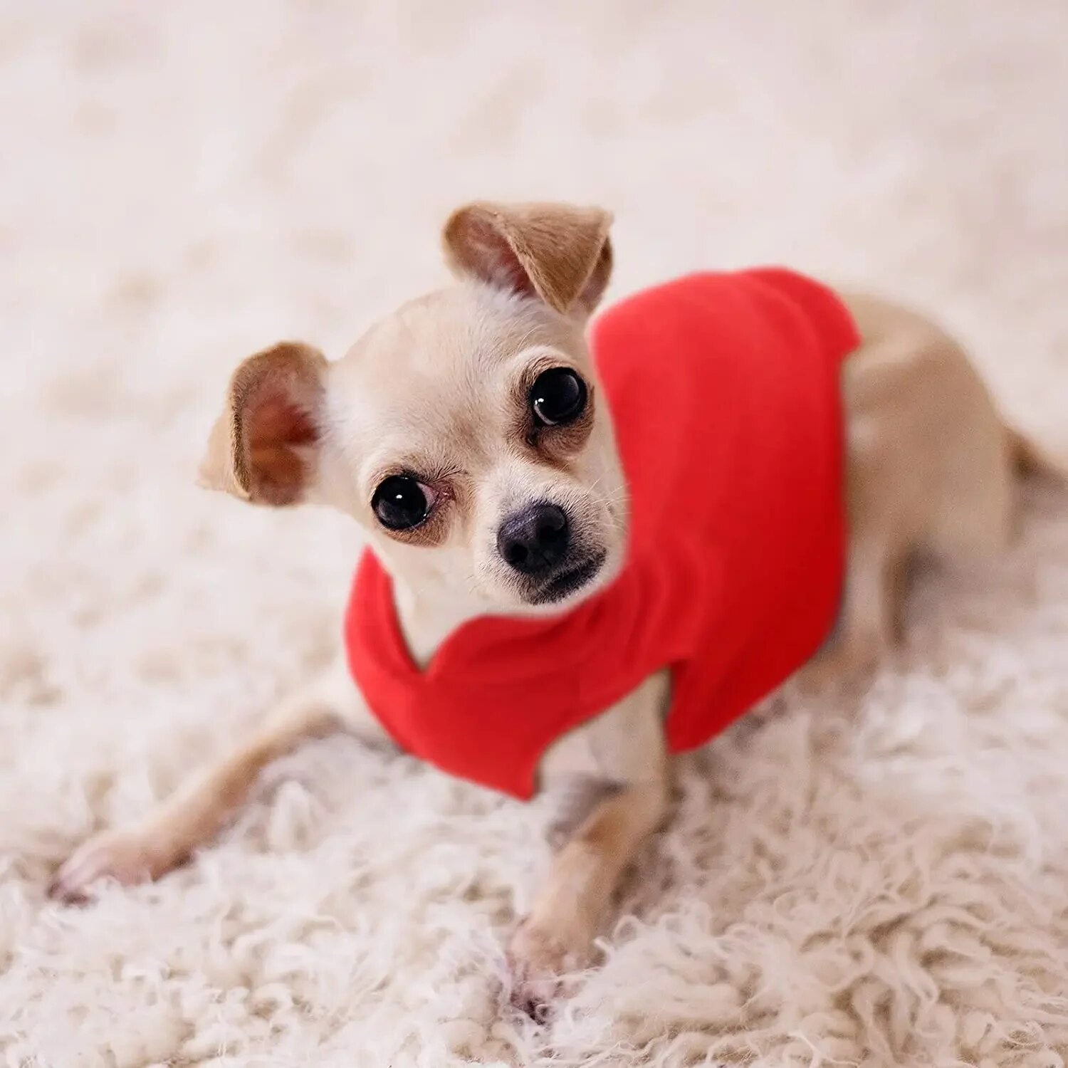 Soft Fleece Dog Clothes