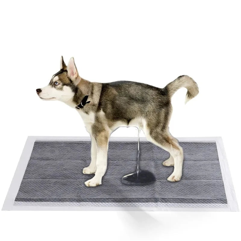 Pet Quick-dry Training Pads