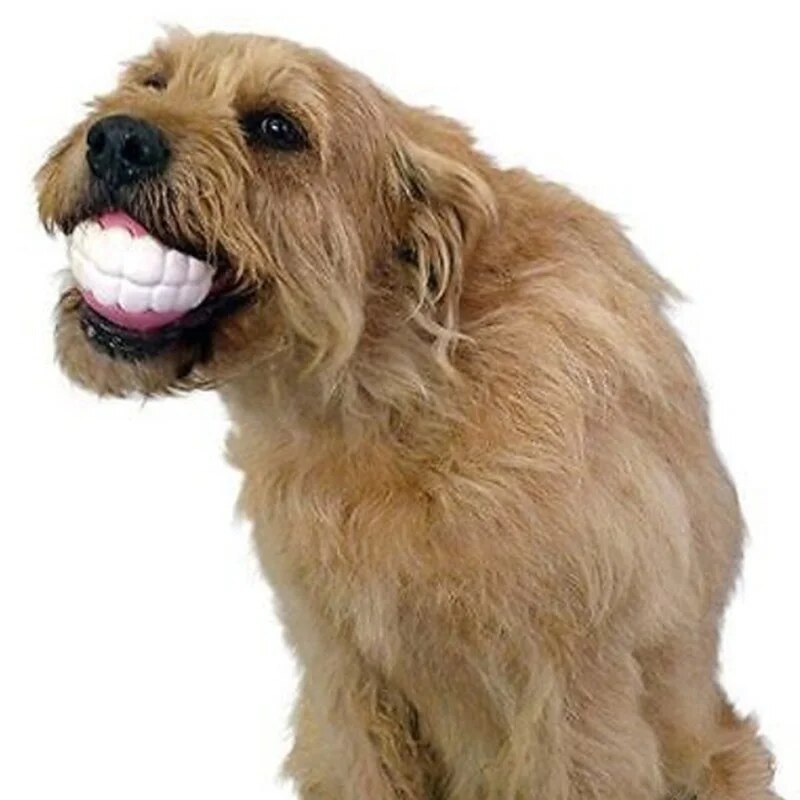 Pet Teeth Silicon Chew Toy