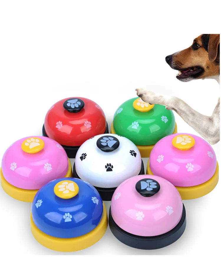 Pet Interactive Ring Trainer