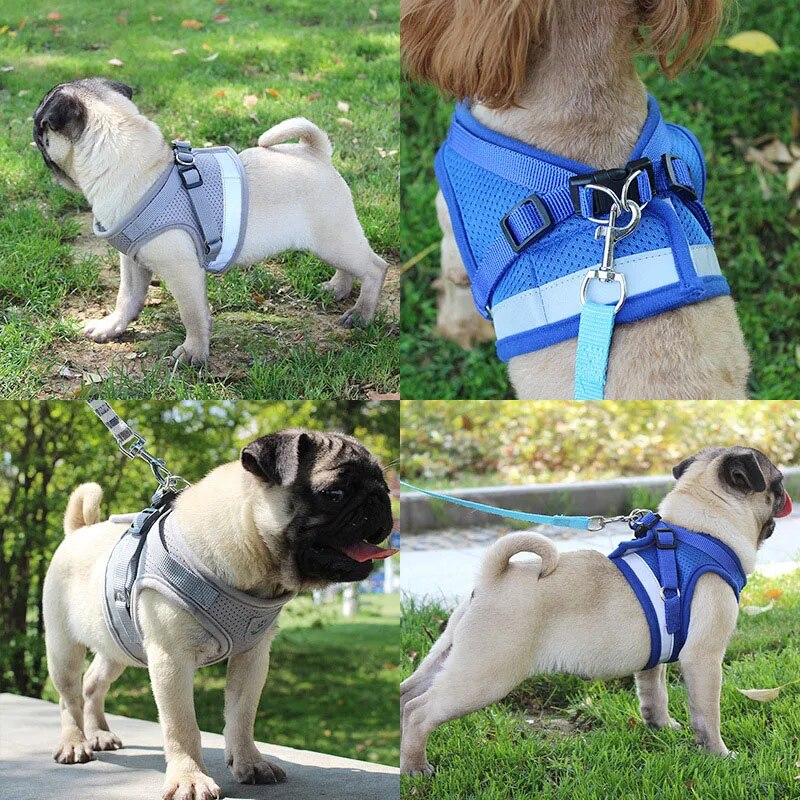 Reflective Dog Harness and Leash Set