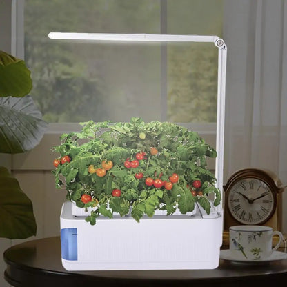 Hydroponic Indoor Herb Kit