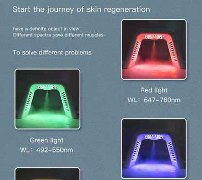 Facial Mask PDT Light Therapy